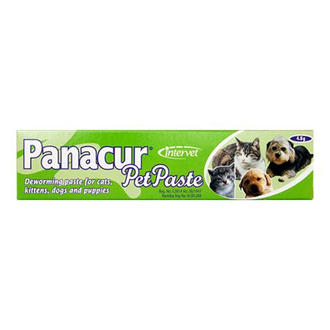 Panacur Pet Paste for Dogs | Buy Intervet Panacur Pet Paste Online in South Africa