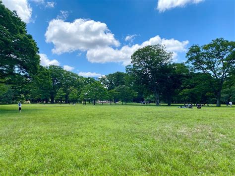 【代々木公園のみどころ徹底紹介！】都内からのアクセス抜群な公園で豊かな自然を楽しもう！｜るるぶ&more.