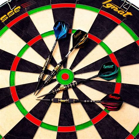 5 Best Darts for Beginners [2024 Update] - Players Bio