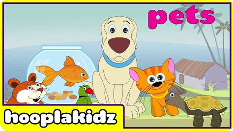 Preschool Activity | Learn About Pets | HooplaKidz - YouTube