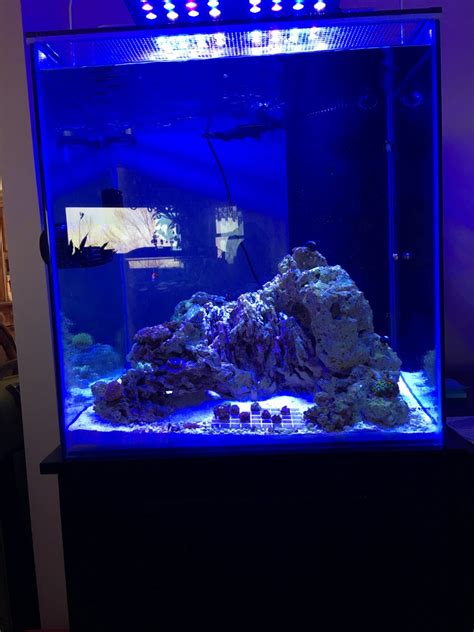 Ideal Placement of Powerheads? | REEF2REEF Saltwater and Reef Aquarium Forum