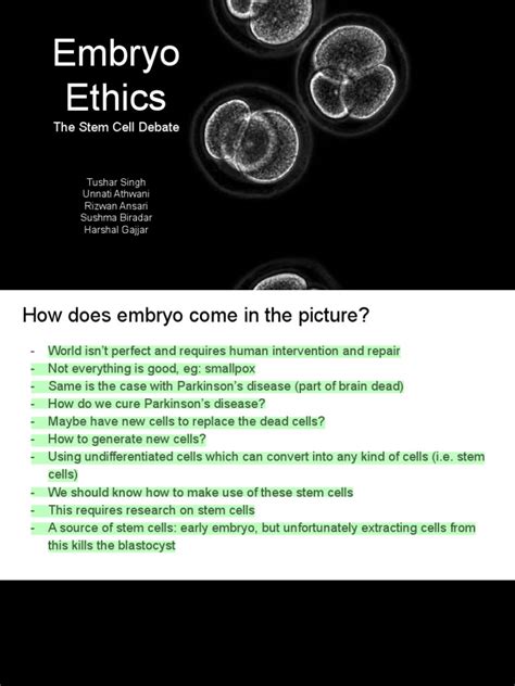 Applied Ethics Embryo - Compressed | PDF | In Vitro Fertilisation | Embryonic Stem Cell