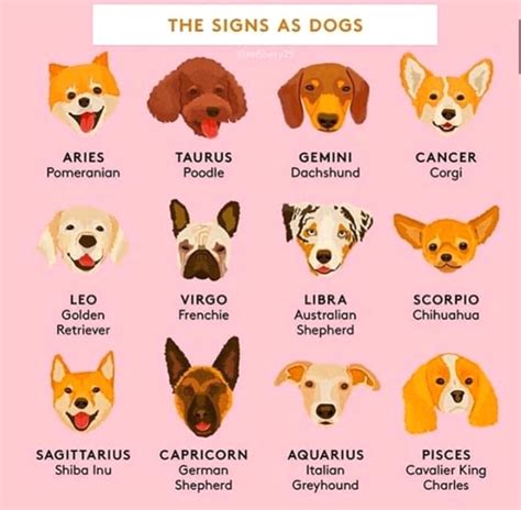 Which sign are you? 🐾🦴🐾 Via @Refinery29 #dog #horoscope in 2020 ...