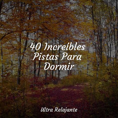 40 Increíbles Pistas Para Dormir, Música Instrumental Maestro - Qobuz