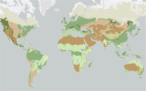 Map Of World Biomes - Show Me The United States Of America Map