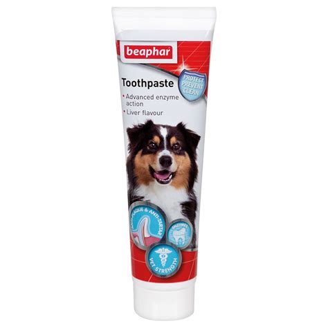 Beaphar Dog Toothpaste 100g | Wilko