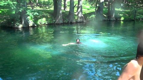 Blue Hole Hidden in the center of Wimberley, Blue Hole is surrounded by ...