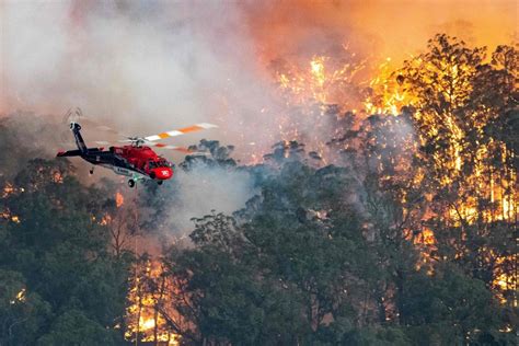 Australia fires cause thousands to flee New South Wales as state of emergency called | London ...