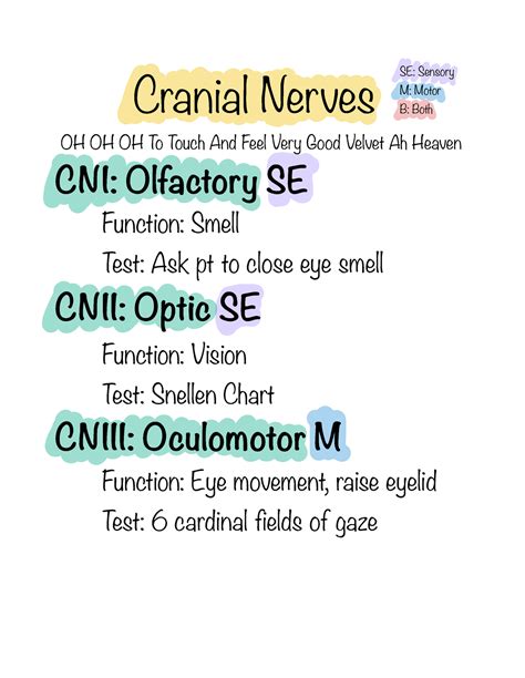 Cranial Nerves notes - OH OH OH To Touch And Feel Very Good Velvet Ah ...