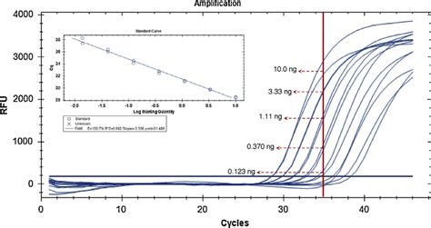 Real-time PCR amplification curves and respective calibration curve ...