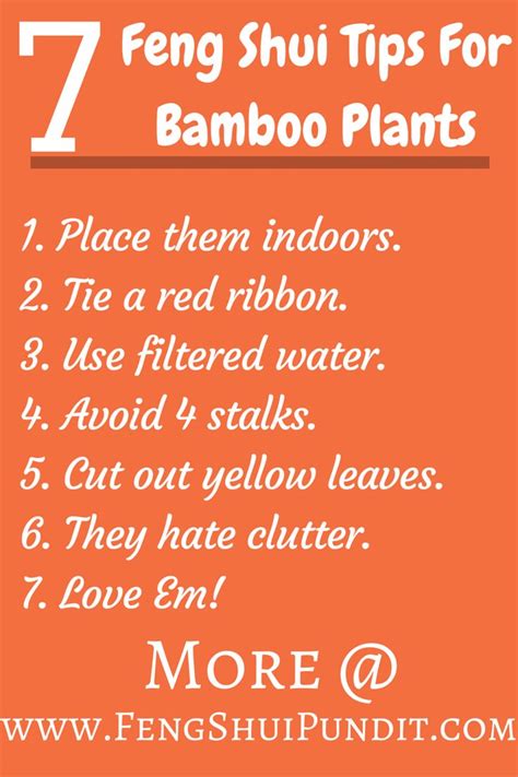 Lucky Bamboo #FengShui … | Feng shui lucky bamboo, Feng shui, Feng shui tips