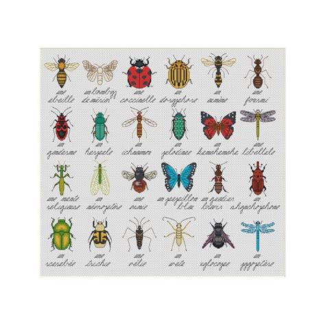 Les Insects Bugs Cross Stitch Pattern - Etsy