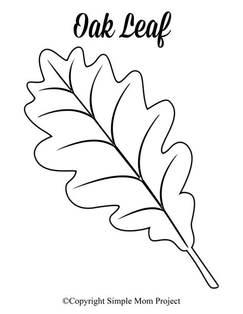 Free Printable Large Leaf Templates, Stencils and Patterns | Leaf template, Leaves template free ...