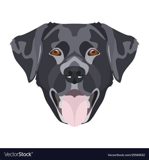 Black labrador Royalty Free Vector Image - VectorStock