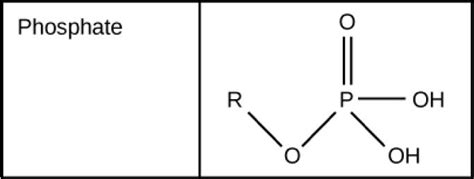 Function Group: Phosphate - resource - Imageshare