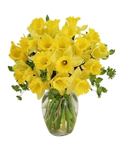 Dancing Daffodils in Season *availability may be limited in Texarkana ...