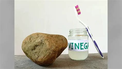 How To Clean Aquarium Rocks With Vinegar - 6 Vinegar Magic