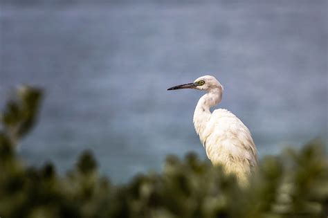 Sarasota weather page photo: March 5 | Your Observer