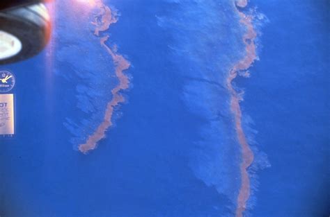 Aerial view of Ixtoc oil spill, Bay of Campeche, Mexico | CounterSpill