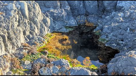 Rockpool Fishing North Anglesey - YouTube