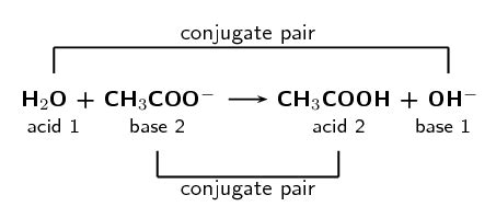 13.1 Acids and bases | Types of reactions | Siyavula