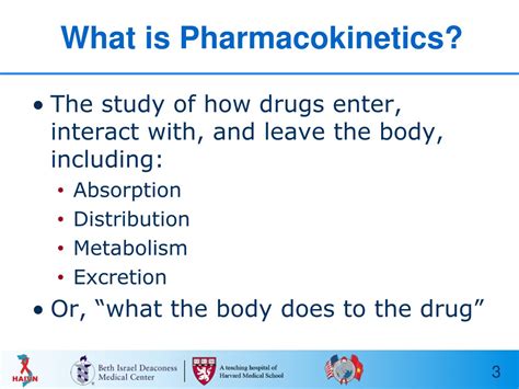 PPT - Pharmacokinetics and Drug Interactions PowerPoint Presentation ...