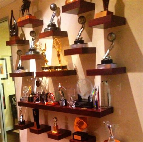 We could even do something like this on the white wall to display our awards. Trophy case ...