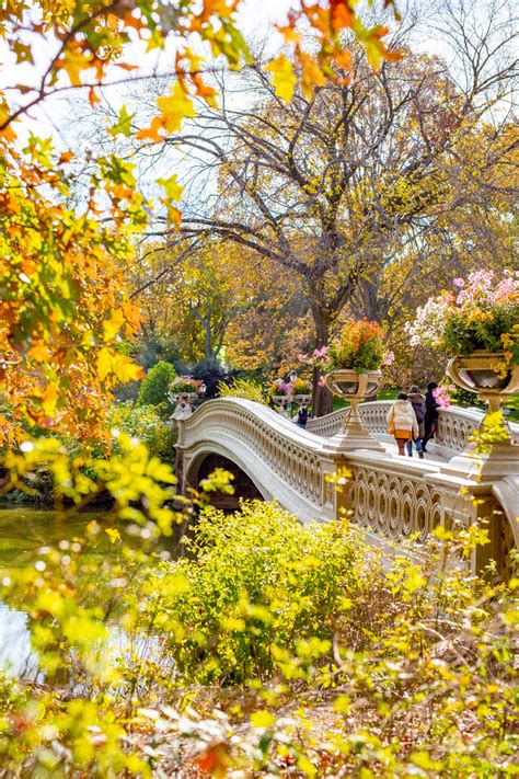 12+ Epic Spots to See Fall Foliage in Central Park - New York Simply