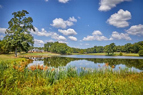 Golf Club «Lake Monticello Golf Course», reviews and photos, 51 Bunker ...