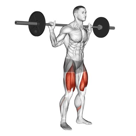 Low Bar Squat: Benefits, Muscles Worked, and More - Inspire US