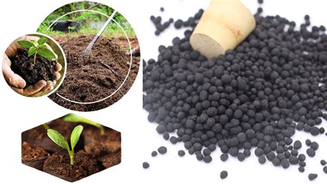 Proposal on Starting a New Organic Fertilizer Production Line