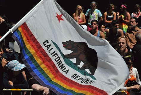 2012 San Francisco Pride Parade California Rainbow Bear Flag | Bear ...