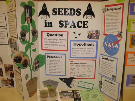 Science Project For 5th Grade