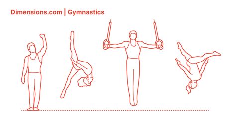 Gymnastics Dimensions & Drawings | Dimensions.com