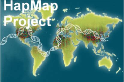 Haplotype Map | Broad Institute