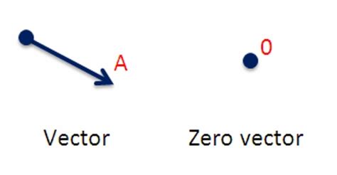 Null or Zero Vector - QS Study