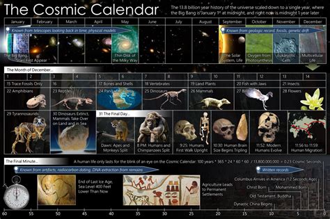 Cosmic Calendar - Cosmic Calendar - Wikipedia | Cosmic calendar, Cosmic, Carl sagan