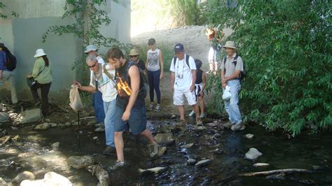 DISCOVER THE TREASURE OF RIPARIAN PLANTS – School of Self-Reliance