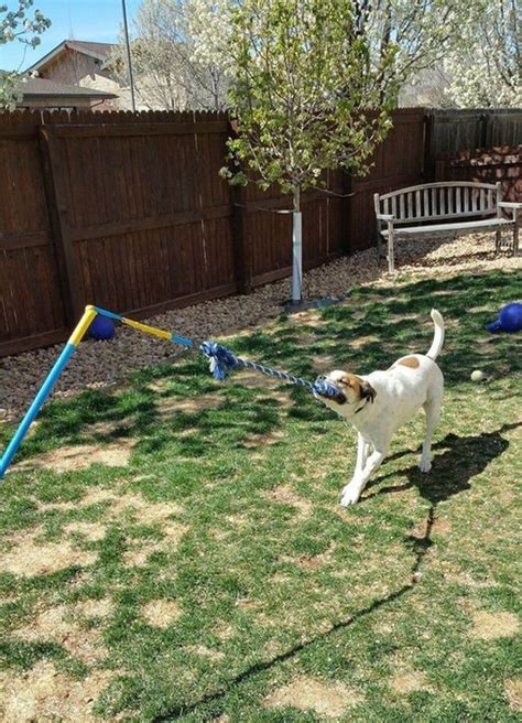 22 Easy DIY Dog Playground Ideas For Small Backyard | Housetodecor.com