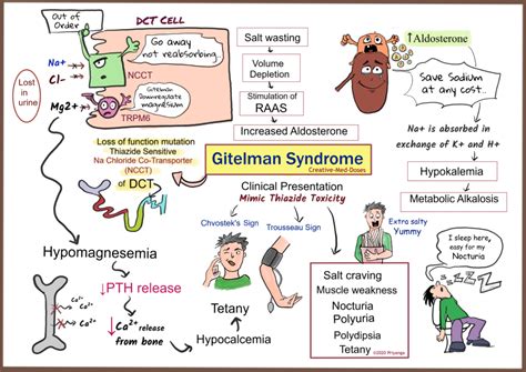 Gitelman syndrome: NCCT defect - Creative Med Doses