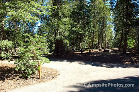 Dogwood - Campsite Photos, Camping Info & Reservations