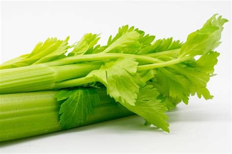 Beneficios del apio para la salud y la belleza - Todo lo que necesita saber | Growing celery ...