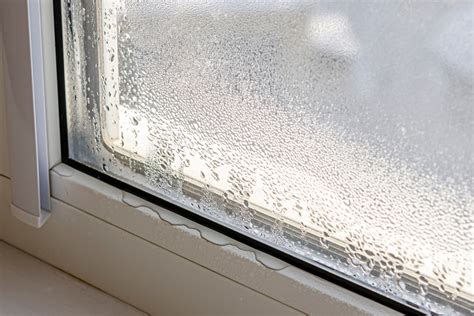 Winter Moisture Problems: About Condensation - BioBalance