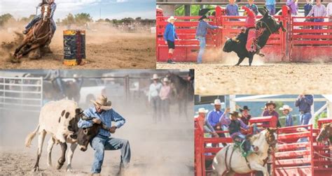 Rodeo Events - The Roping Pen