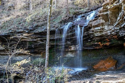 Alabama's Hidden Gems: Immersing in the Beauty of State Park | Zulie Journey | NewsBreak Original