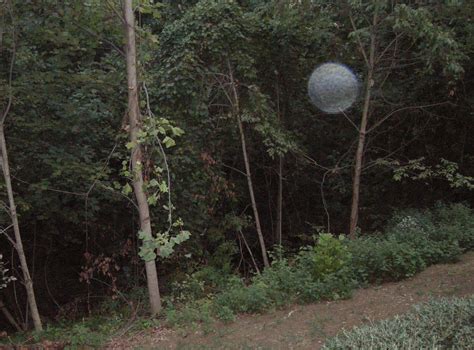 incredible orb, photographed by Amy Prickett Mills | Orbs in photos ...