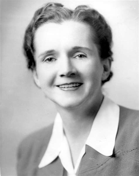 File:Rachel-Carson.jpg - Wikimedia Commons