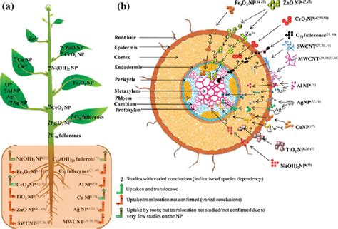 Chapter 2 Physical and Chemical Nature of Nanoparticles | Semantic Scholar