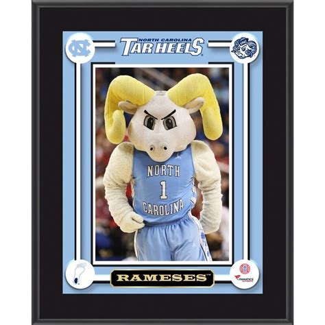 North Carolina Tar Heels Fanatics Authentic 10.5" x 13" Rameses ...