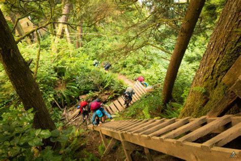 West Coast Trail - Pacific Rim National Park Reserve • MB Guiding